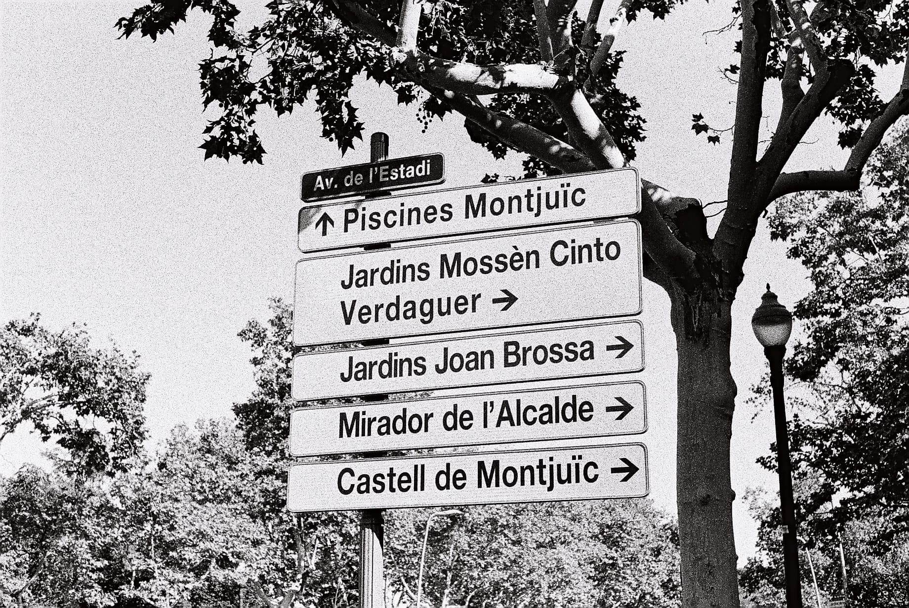 Where am I going?
